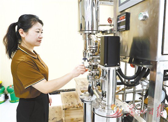 　　沉香精油生产设备运转，工作人员查看并调整参数。全媒体记者 林罗晓 摄