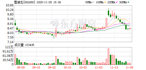 雪迪龙：无逾期对外担保情形