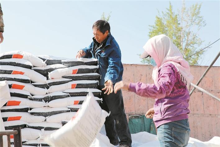 冠农股份向该公司乡村振兴定点帮扶单位二师二二三团捐赠20吨农用硫酸钾肥（资料图片）。 高瑞通 摄