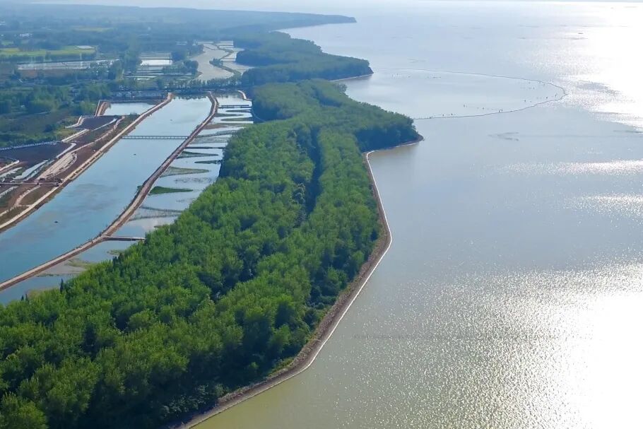 ▲治理后的洪泽湖生态廊道，水清岸绿、生机盎然