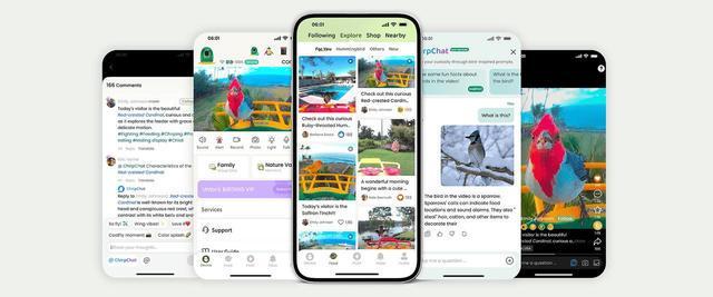 从深圳到北美 中国创企coolfly改写全球ai观鸟市场格局