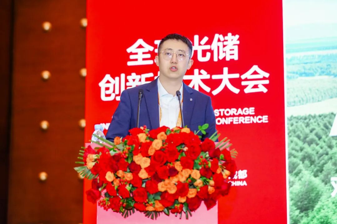 双良混沌能源研发总监罗嘉宁