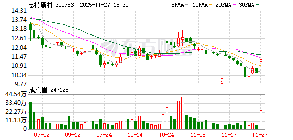 志特新材:无逾期担保的情形