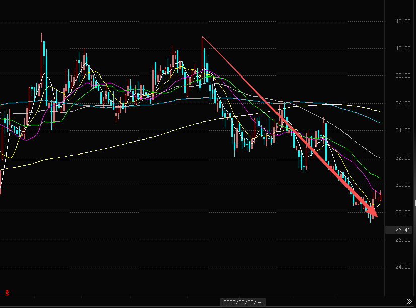 截图来源于东方财富