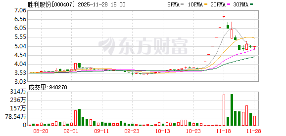 胜利股份:只要符合公司战略方向、有利于公司清洁能源发展的业务,公司都会跟踪、研究