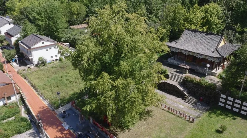 ƺ̵ɹ£ءһԼ1500ؾΪ