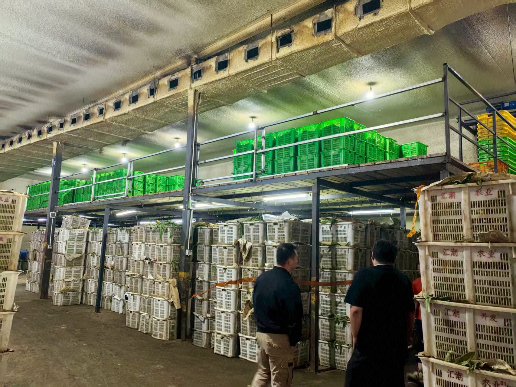 （图：曲靖麒麟区汇潮冷链物流园对蔬菜进行初步分拣）