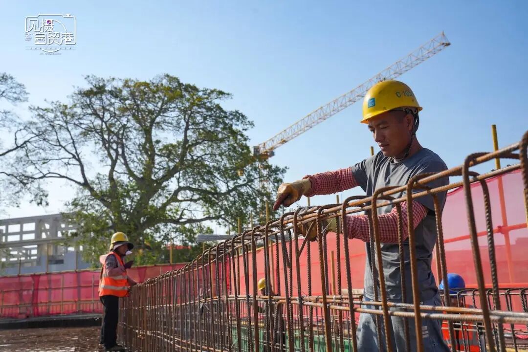 左右滑动查看更多图片