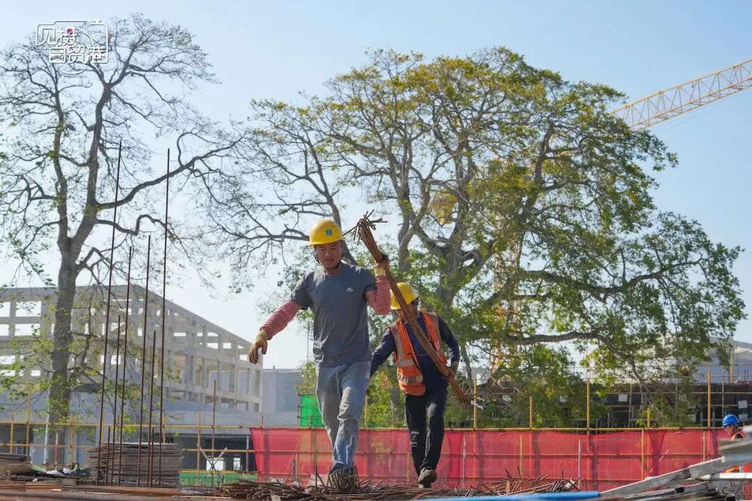 左右滑动查看更多图片