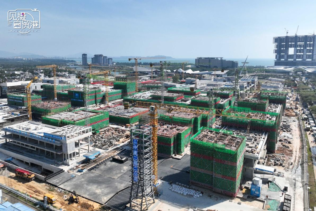 左右滑动查看更多图片