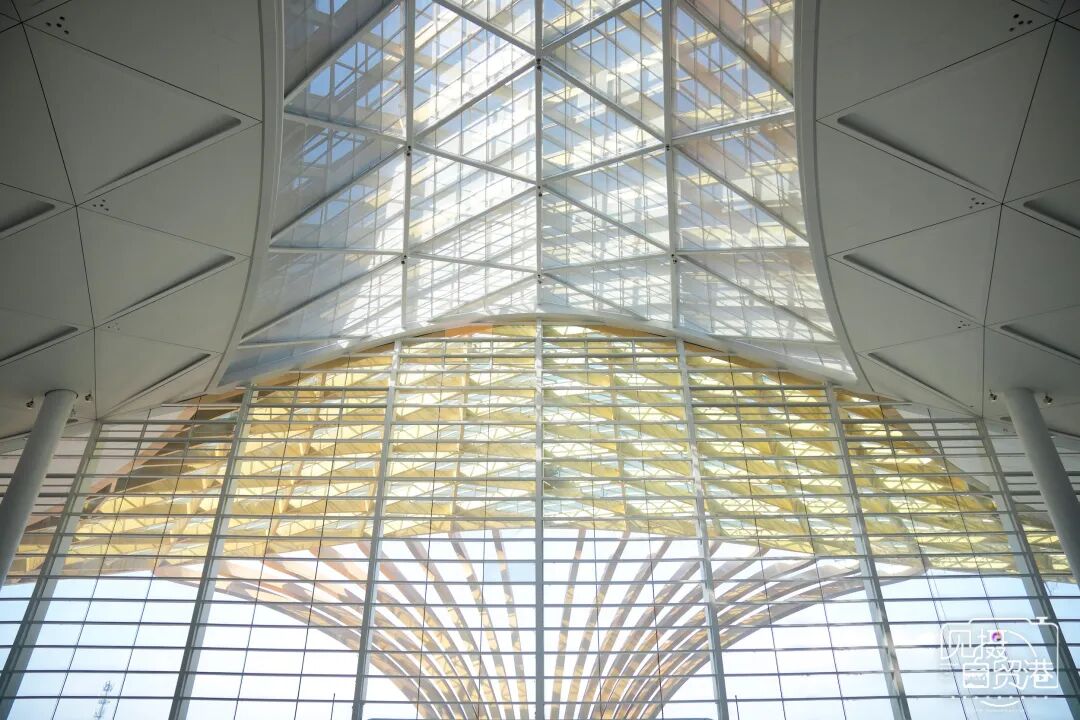 左右滑动查看更多图片