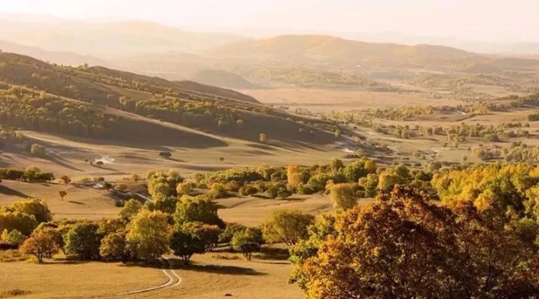 周天勇:社会主义有创新和效率的人民所有制经济