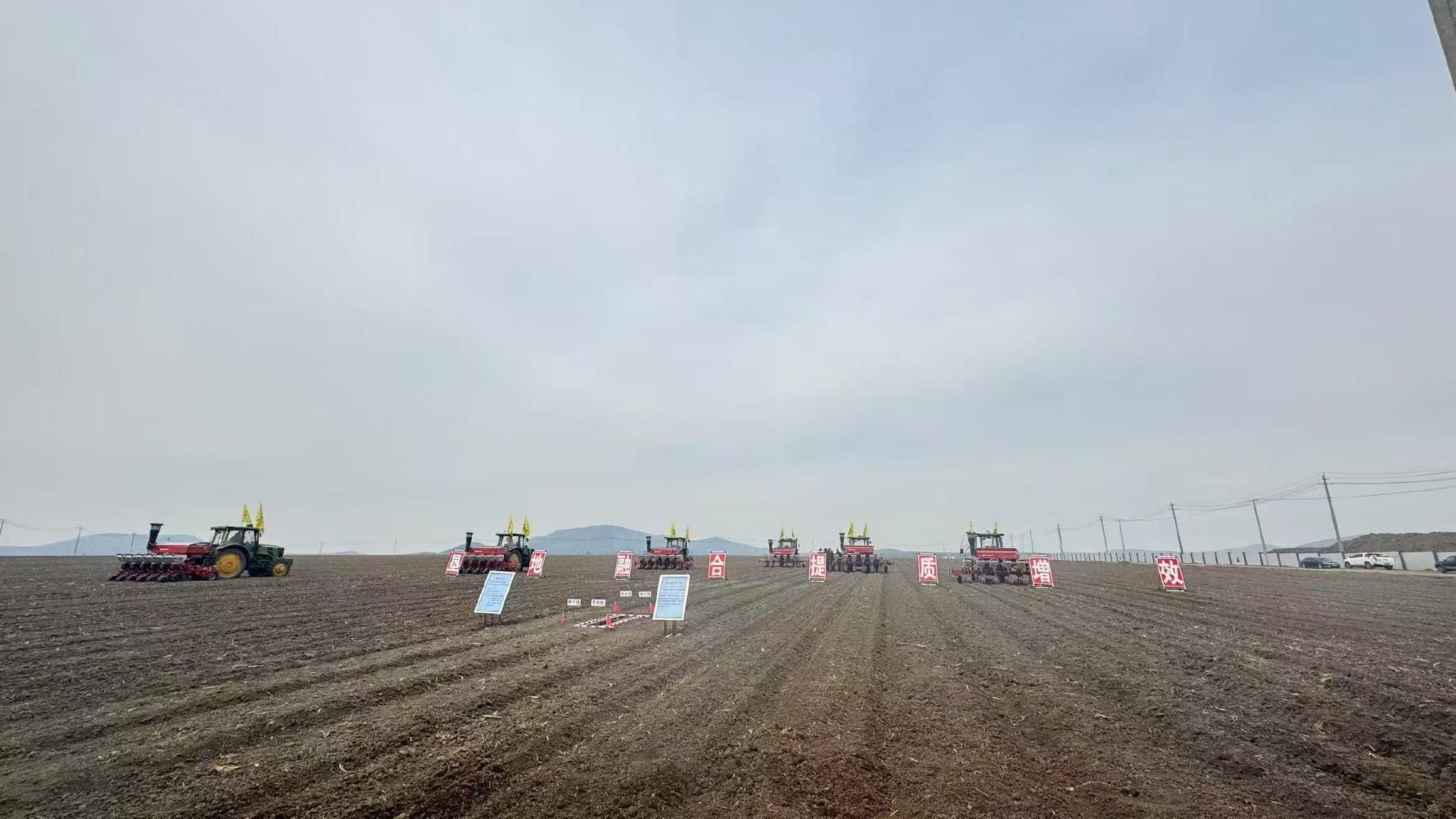 垦地合作千亩玉米示范田