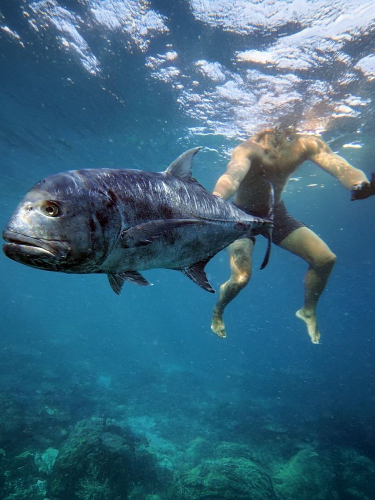 29岁失业人员！本·西蒙斯晒近照：深潜 烤肉 出海 日光浴