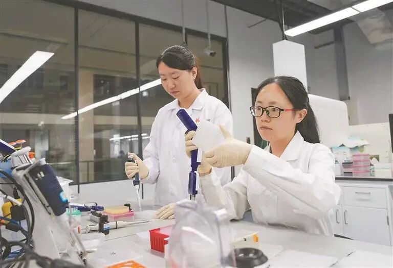 垦丰种业的技术人员做试验。 张淑艳 摄