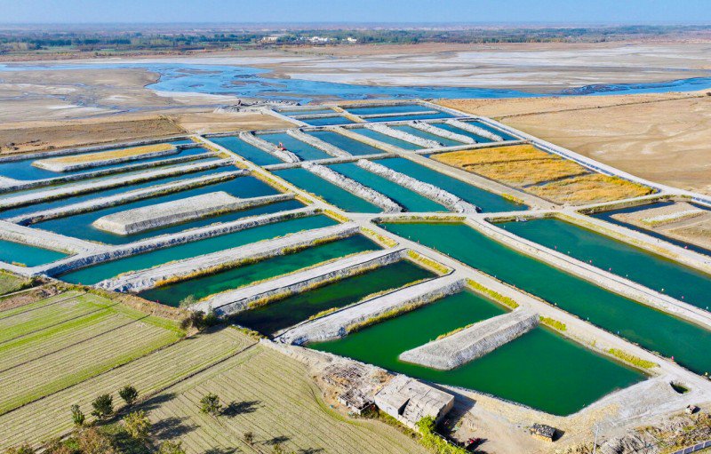 和田县英艾日克乡托勒干吉村水产养殖基地。 汤永 摄