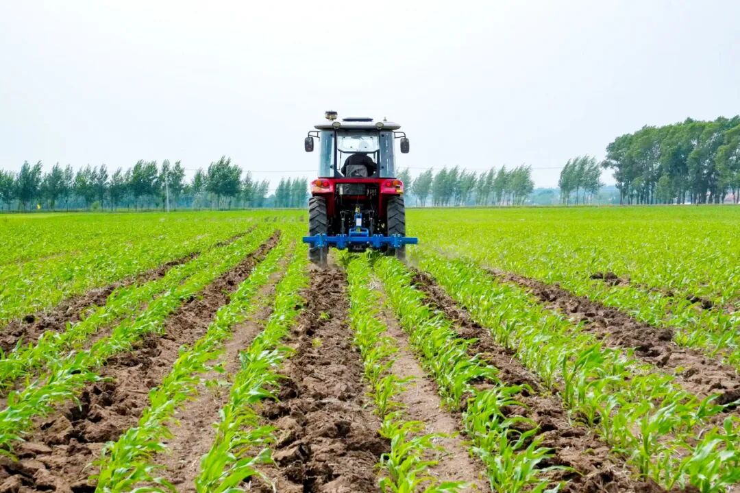 在九台区的农田里，开展苗期深松作业
