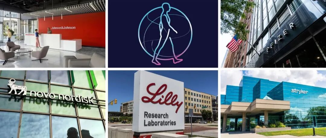11月药企高管动态 | 强生、美敦力、辉瑞、诺和诺德、CVS Health、礼来、史赛克、云南白药、国药控股等全球药企人事变动