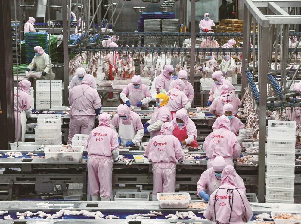 ͼΪӱͶʳƷŹɷ޹˾⼦׼ӹ䡣  