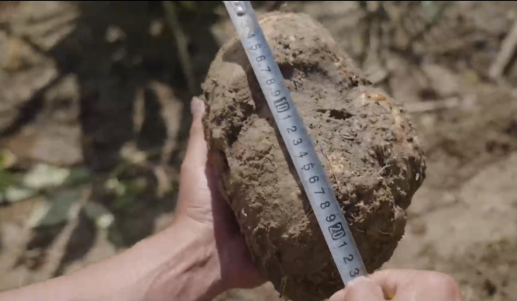 从“土疙瘩”到超级食材:一颗魔芋如何撬动百亿零食帝国?_新浪财经_新浪网