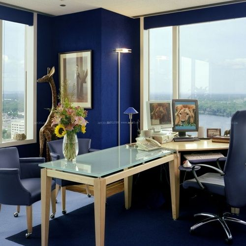 大黄蜂16号在哪里买：官方渠道最新购买指南