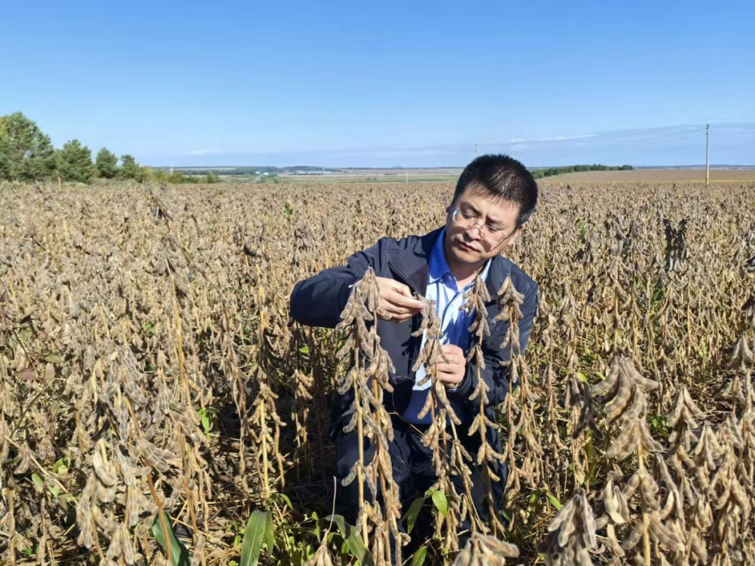国光股份董事长何颉调研公司作物种植管理解决方案在大豆上的推广情况。