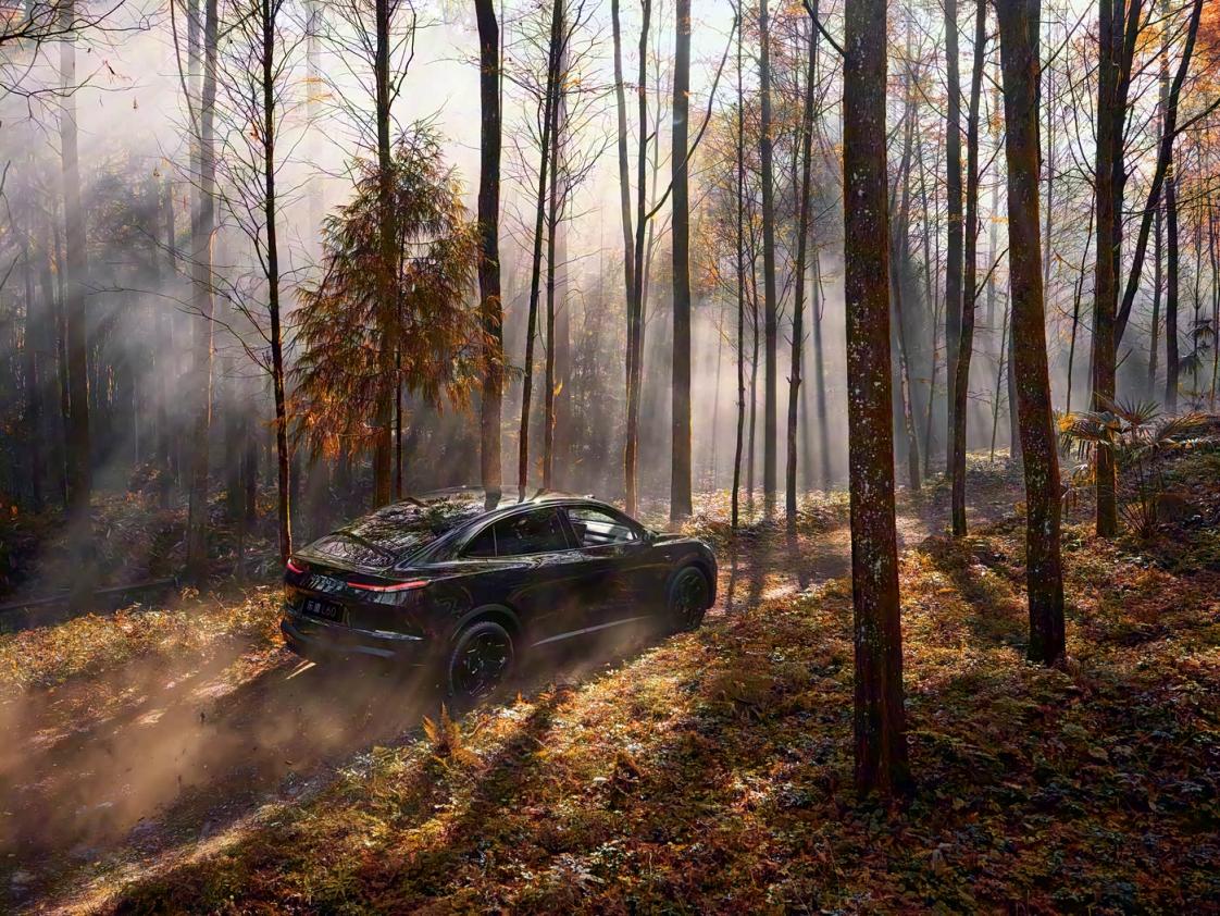 乐道L60黑骑士图片发布 限量666台