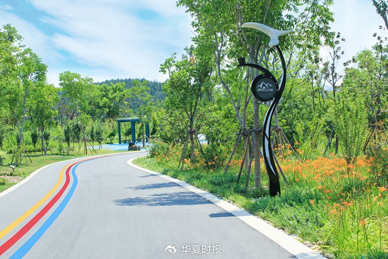 上任不到一年！大千生态董事长辞职，定增关键期高层震荡引市场关注