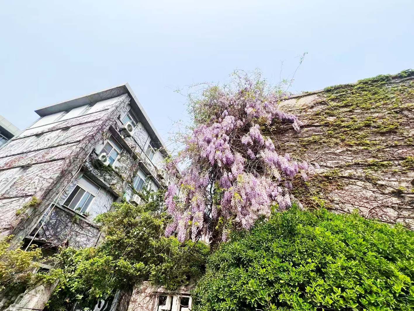 扬农化工建构筑物群。