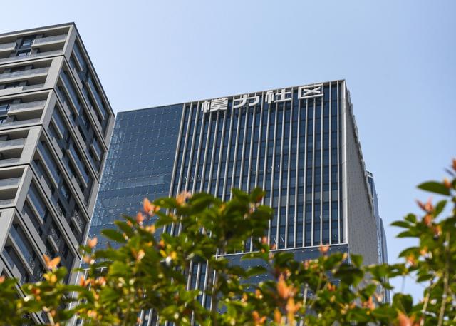 模力社区 陶磊摄