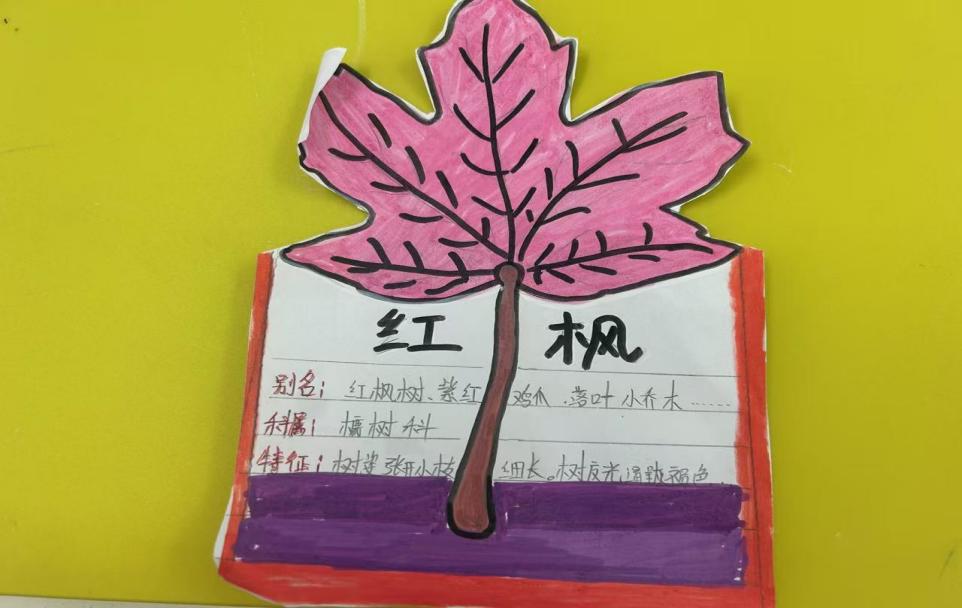 灞桥区惠王中心小学语文学科无作业日综合实践活动