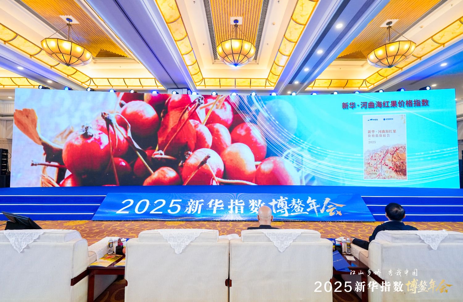 图为“江山多娇 秀我中国”——新华指数博鳌年会现场