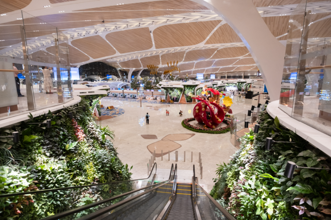 广州白云机场T3航站楼。图/广州日报新花城记者：庄小龙