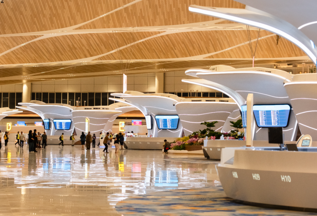 广州白云机场T3航站楼。图/广州日报新花城记者：庄小龙