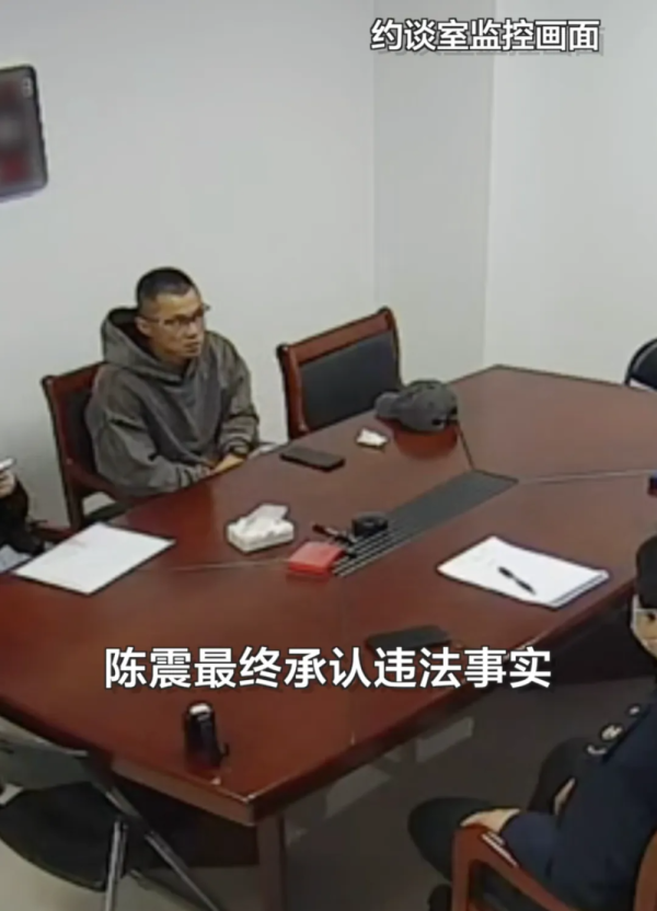 官方公布陈震偷税案细节