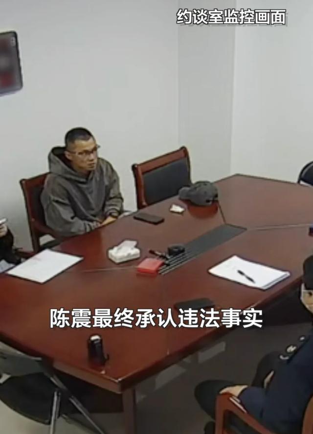 陈震偷税案细节公布！