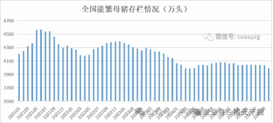 重大信号!能繁母猪调控不达标将暂停奖励,官方修订《生猪调出大县奖励办法》