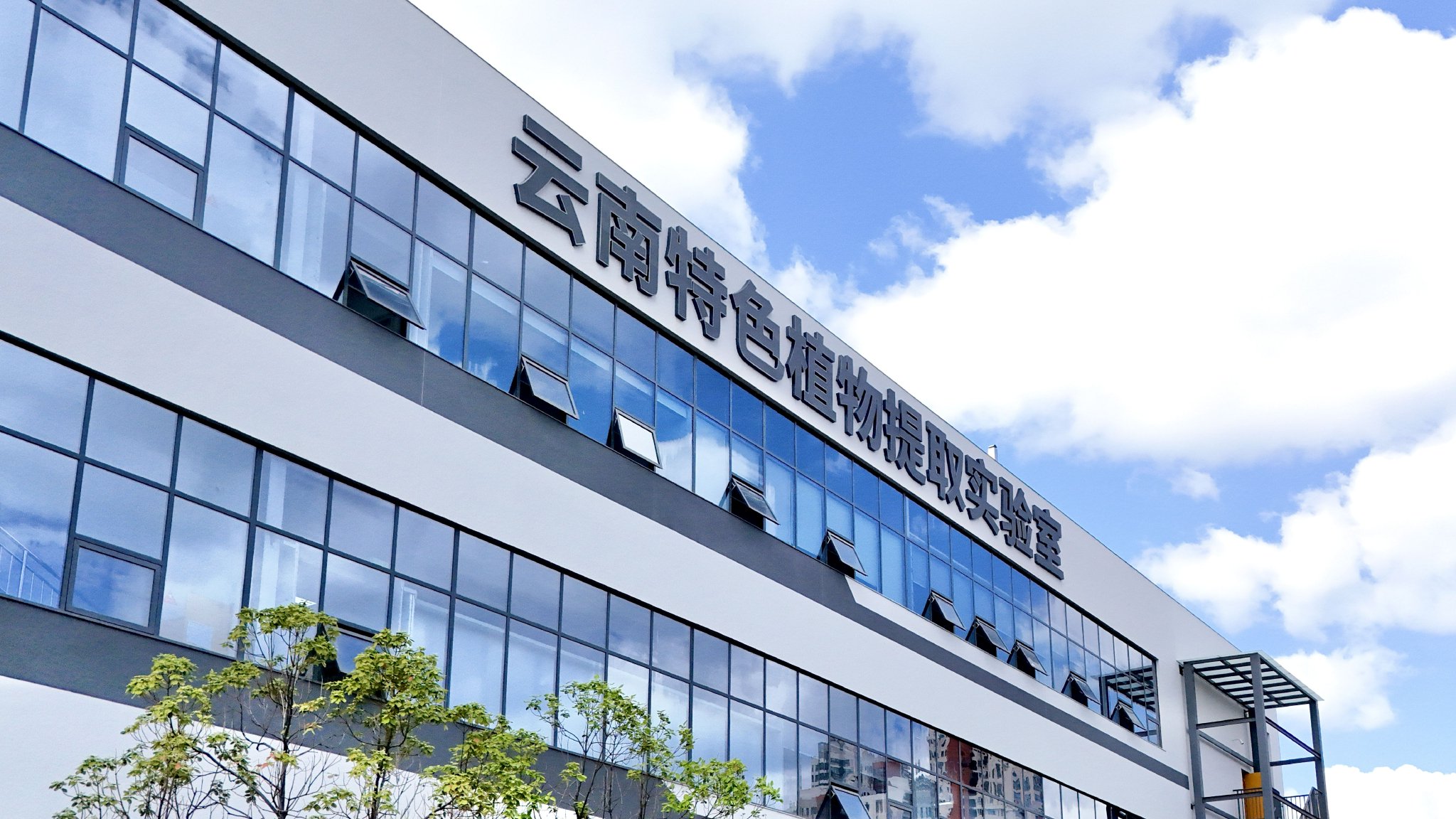 ͼΪɫֲȡʵңλиҽ·53