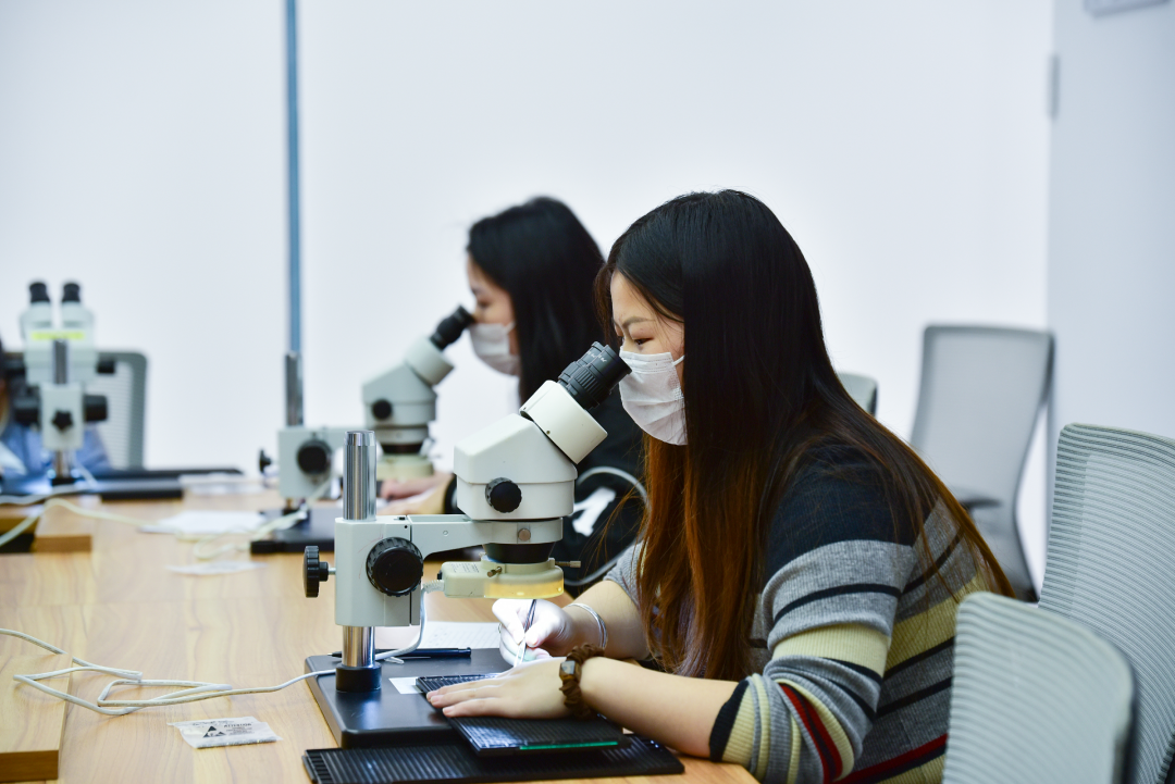 左右滑动 可看更多