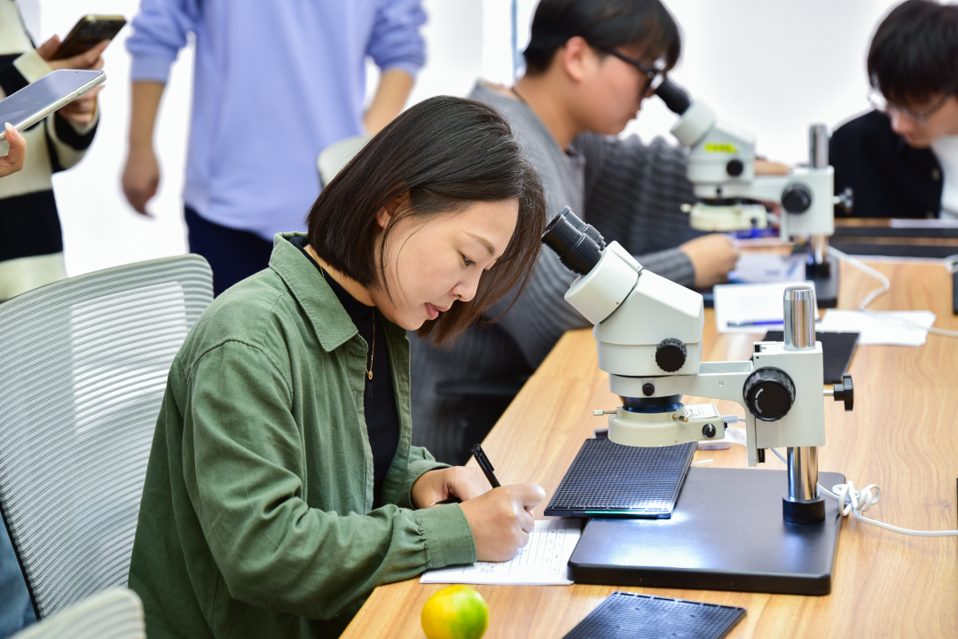 左右滑动 可看更多