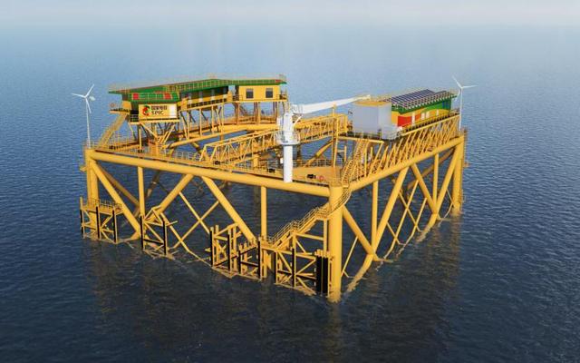 图5. 国家电投集团海洋牧场项目示意图