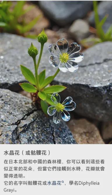 用AI图仅退款，这批羊毛党把商家薅麻了