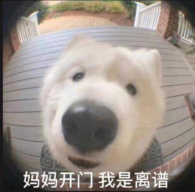 斯坦福人均≈0.1张GPU！学术界算力遭「屠杀」，LeCun急了