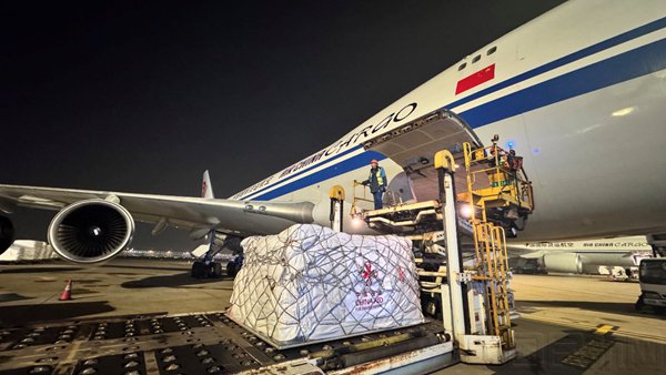 (本文图片均由朱文渊、王颀拍摄)