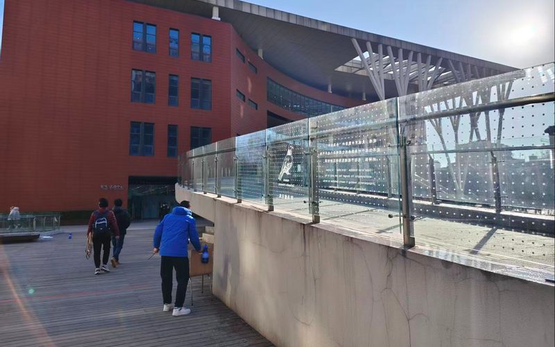 北京林业大学，多块玻璃护栏贴上了波点贴纸。受访者供图