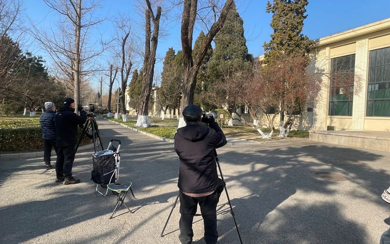 12月9日，农业展览馆的玻璃上拉上了绿布，几名摄影爱好者在拍鸟。新京报记者 吴婷婷 摄