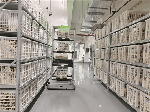 陈皮智能公共仓。