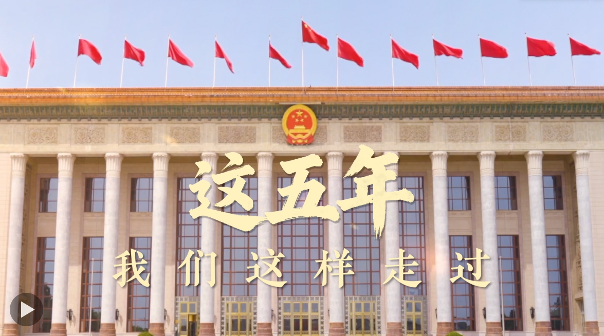 这五年，我们这样走过