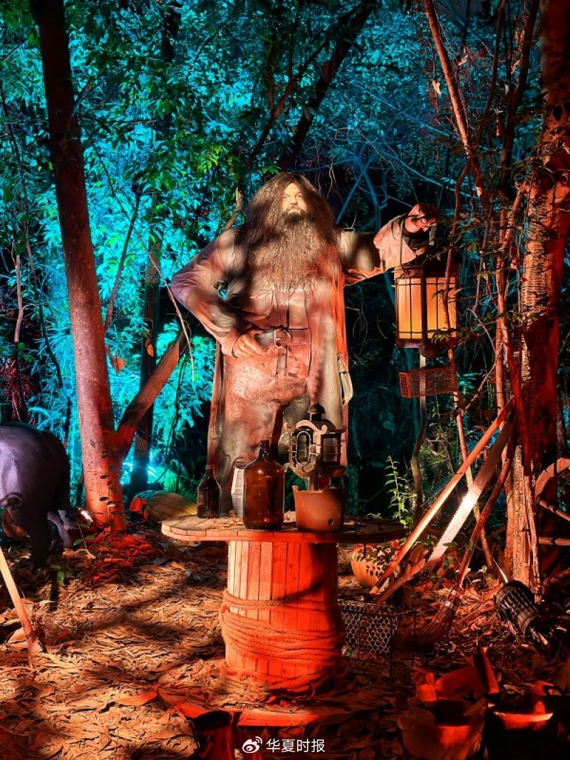 中国首个正版“哈利·波特禁林”试水深圳首店经济