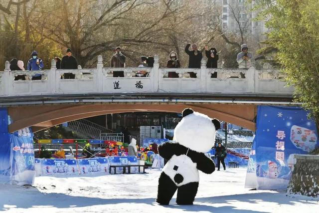 紫竹院冰雪节，摄于2024年12月 （摄影/北京青年报记者 袁艺）